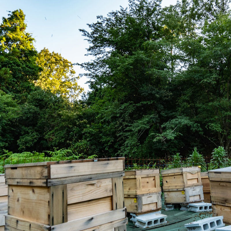 テロワールハニー 京百花 120g/株式会社ORG