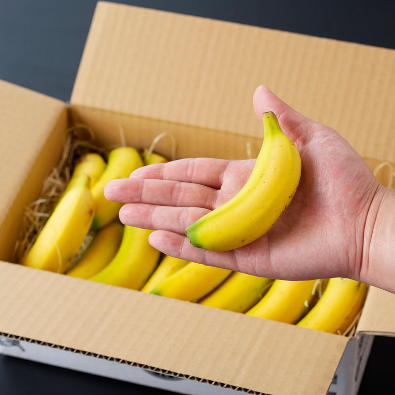 宮崎産バナナ「NEXT716」ミニ1kg詰め合わせ/ネクストファーム