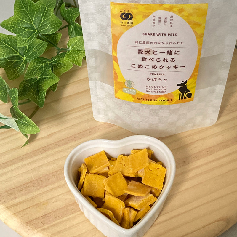 愛犬と食べれるクッキーかぼちゃ