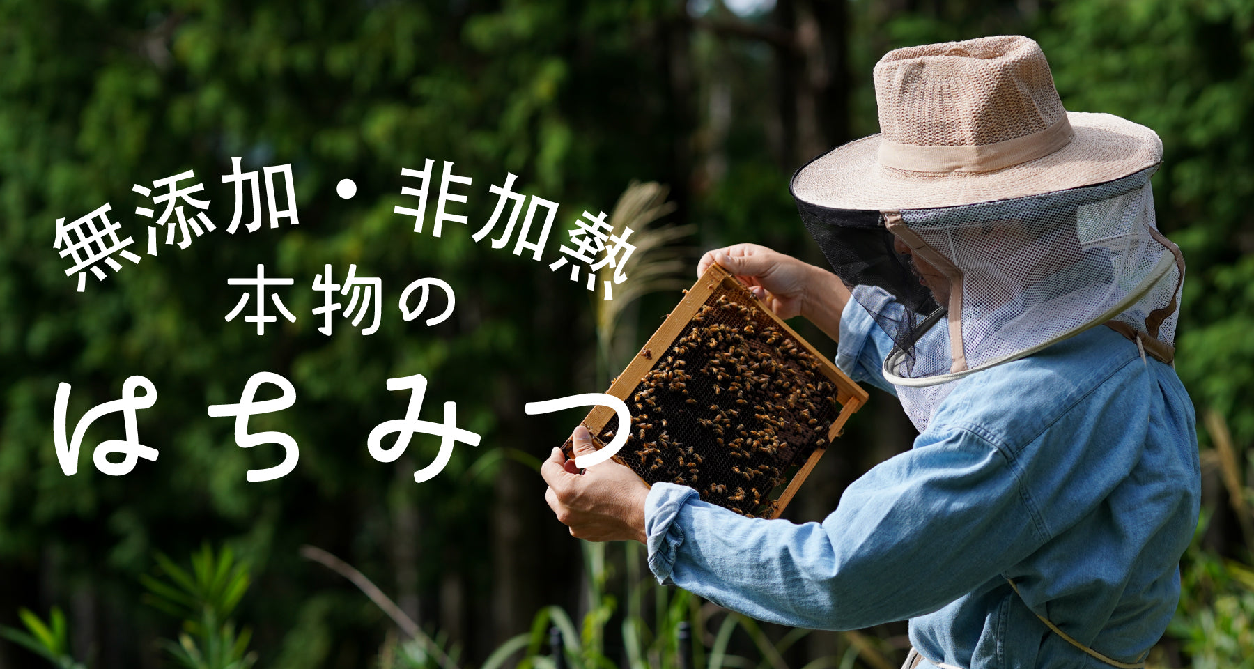 無添加・非加熱 本物のはちみつ特集